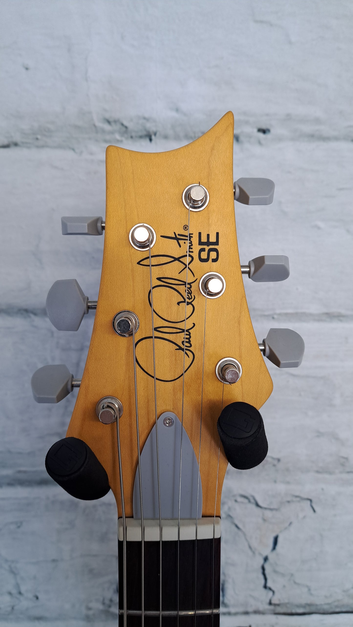 PRS SE Silver Sky - Evergreen