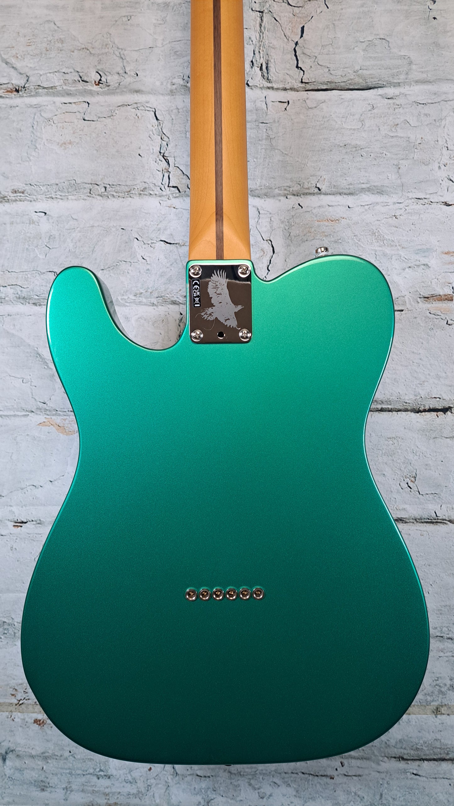 Susan Tedeschi Telecaster