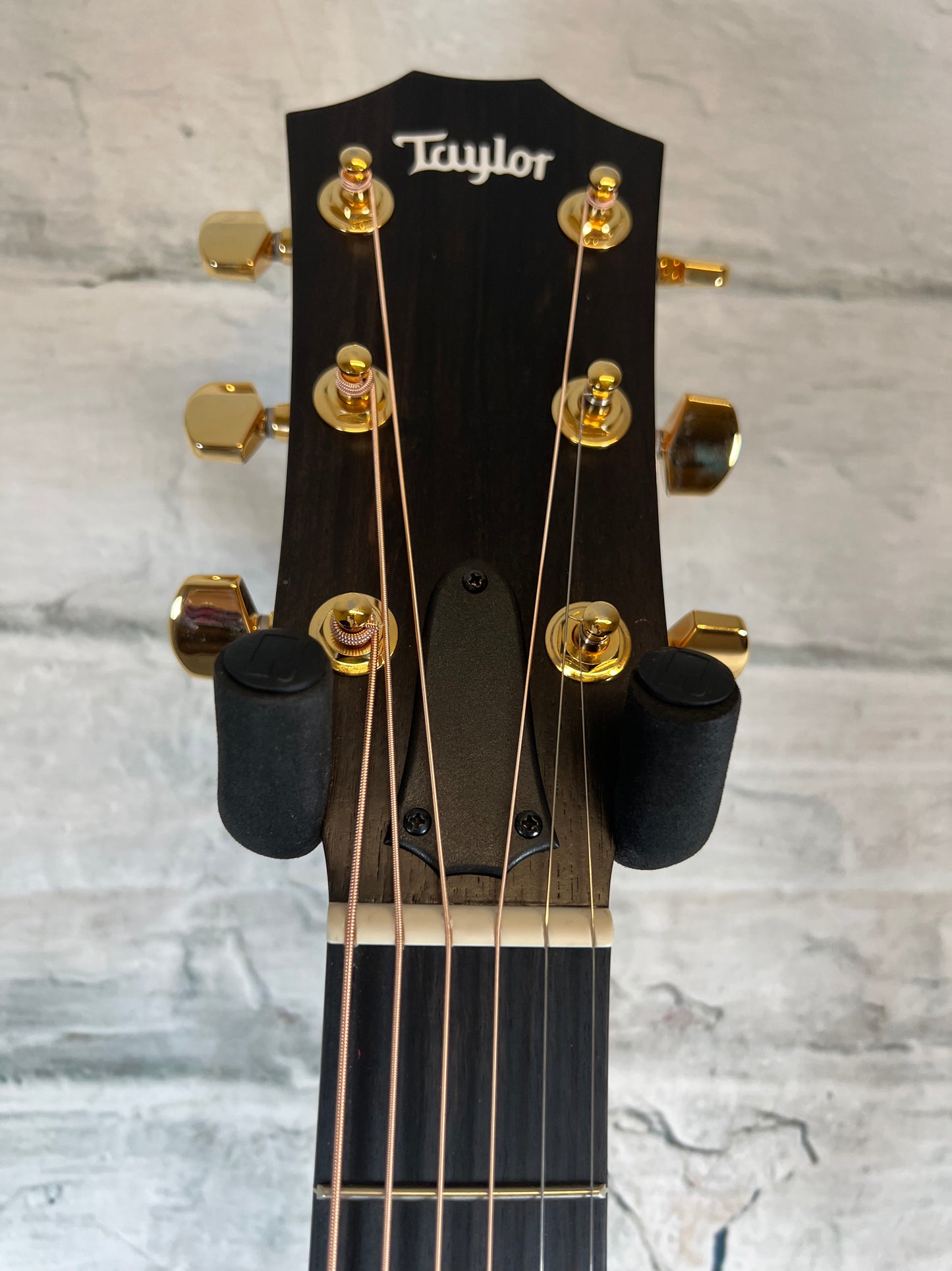 Taylor 224cek Deluxe Acoustic Guitar- Koa Back & Sides