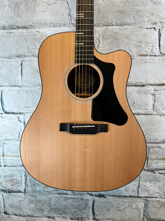 Used Gibson G-Writer with bag