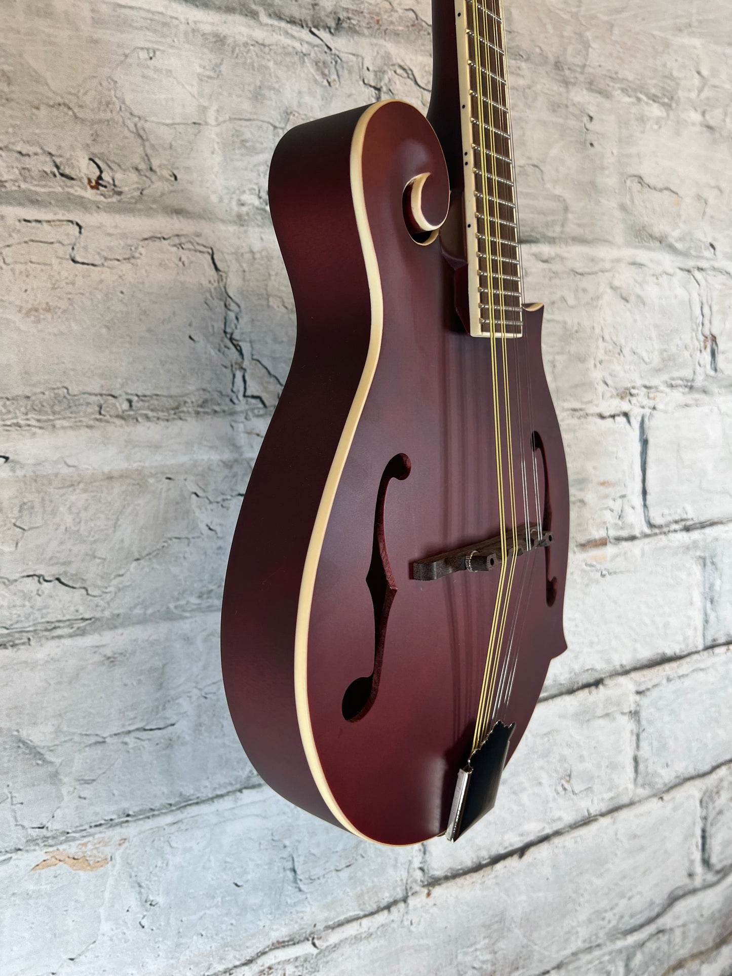 Epiphone F-5 Studio Mandolin Vine Red-Premuim Gig bag
