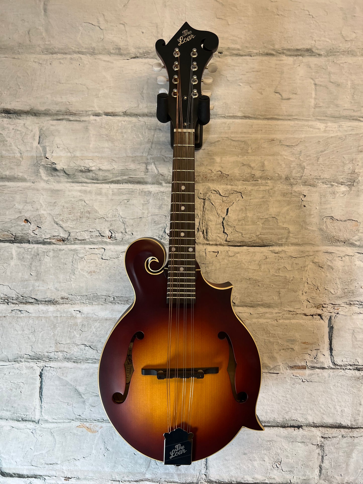 The Loar LM-590 All Solid F-Style Mandolin