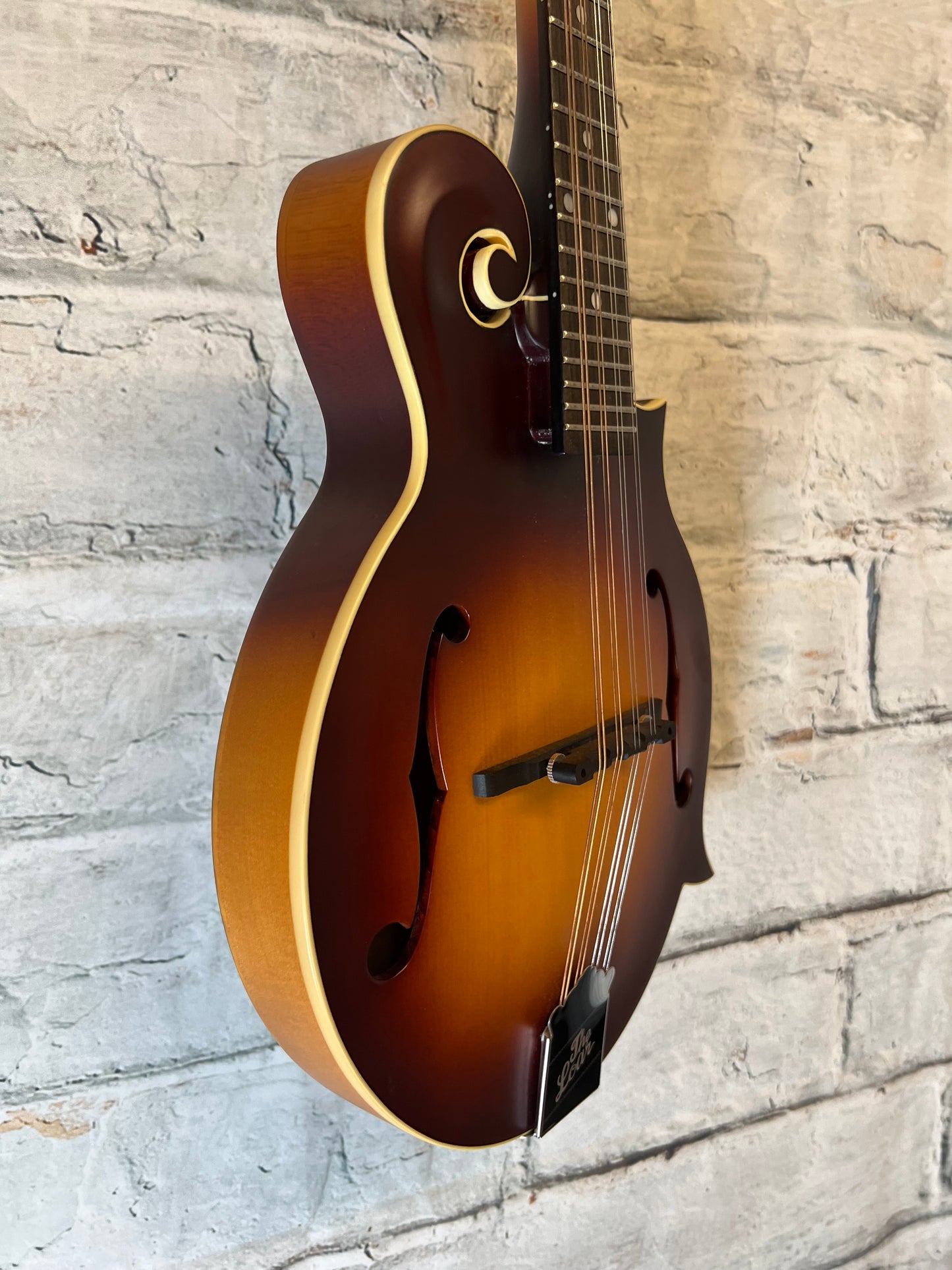 The Loar LM-590 All Solid F-Style Mandolin