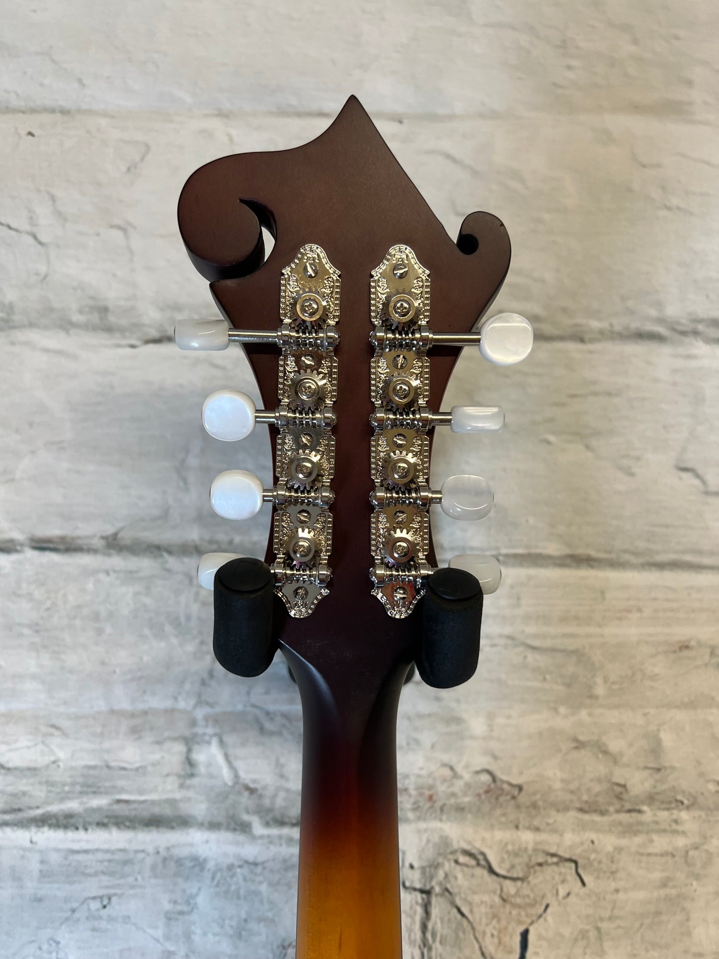 The Loar LM-590 All Solid F-Style Mandolin