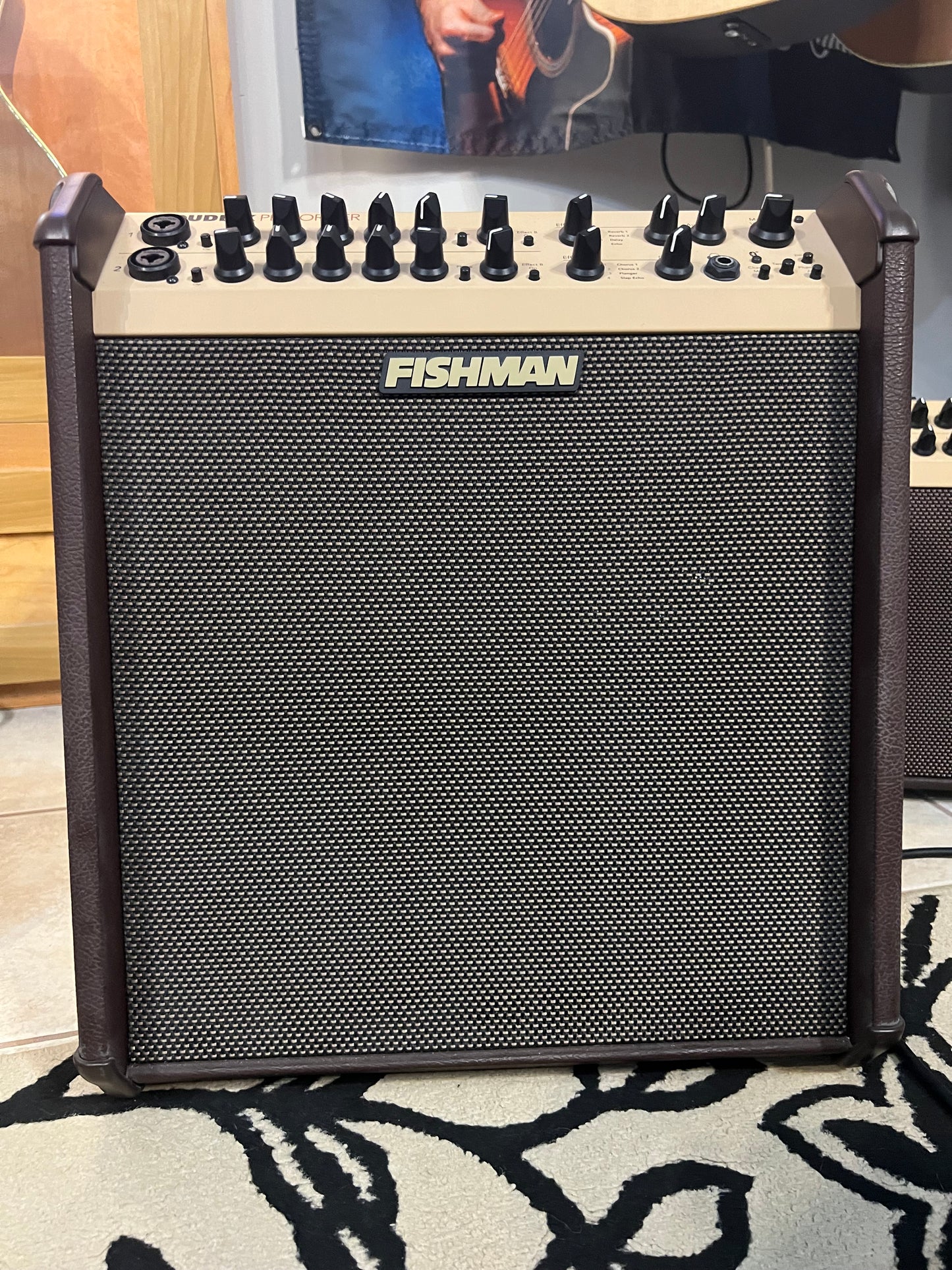 Fishman Loudbox Performer Acoustic Guitar Amp
