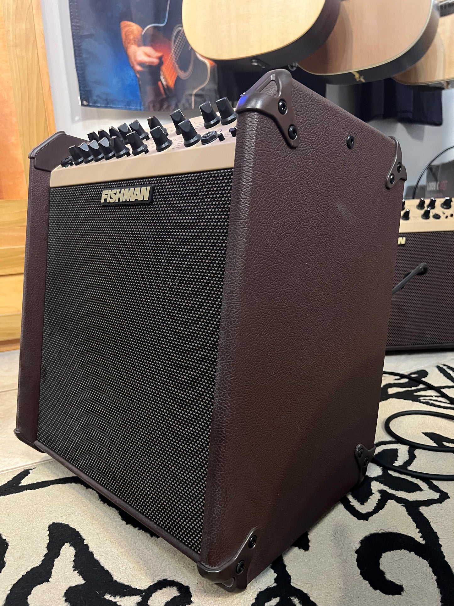 Fishman Loudbox Performer Acoustic Guitar Amp