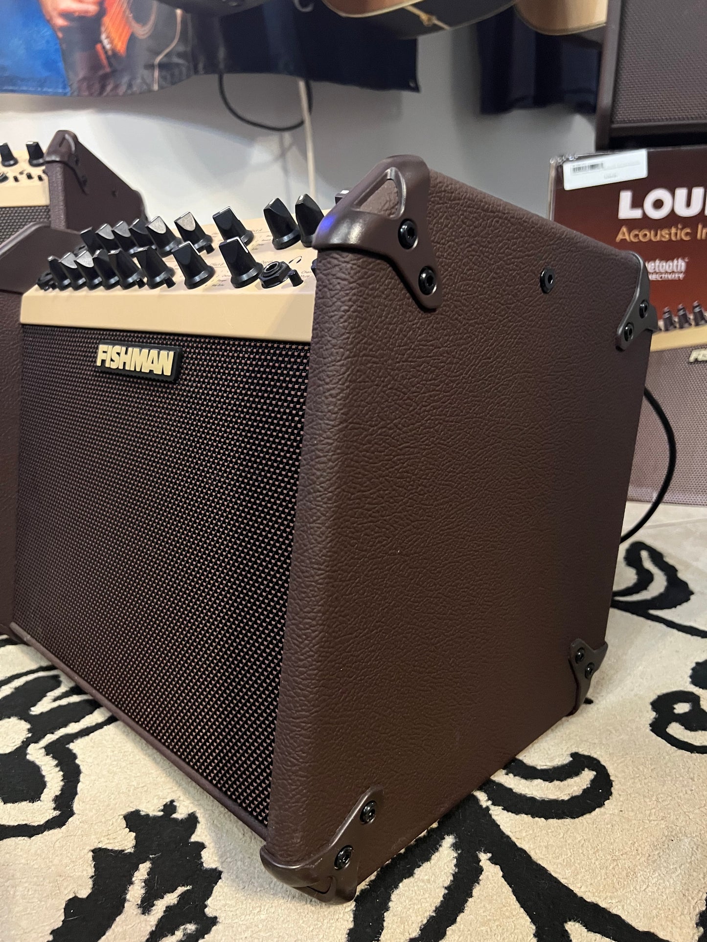 Fishman Loudbox Artist 120 Watt Acoustic Amp with Bluetooth