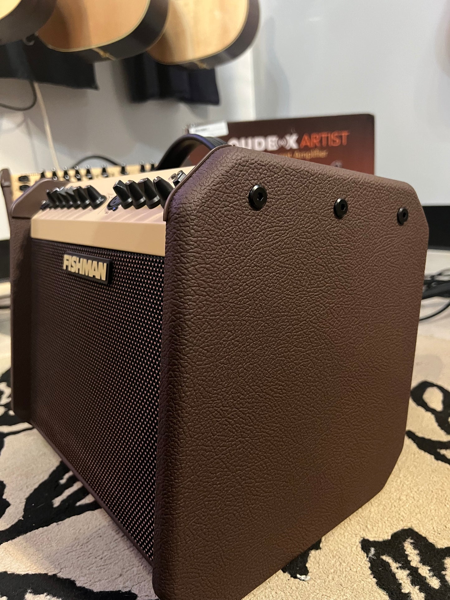 Fishman Loudbox Mini 60 Watt Acoustic Amp with Bluetooth