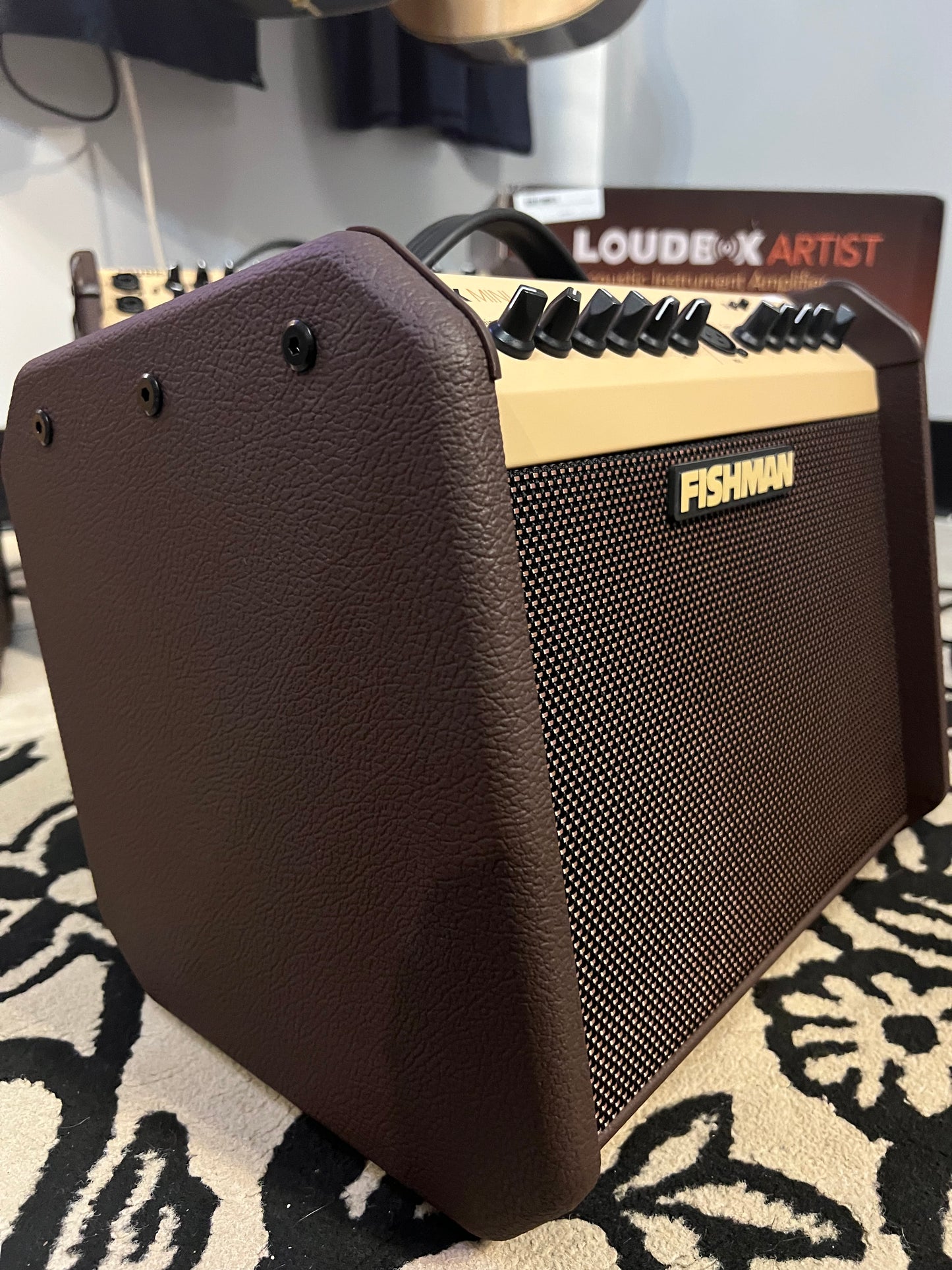 Fishman Loudbox Mini 60 Watt Acoustic Amp with Bluetooth