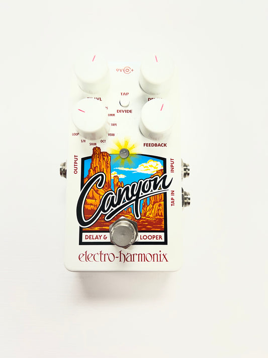 Electro Harmonix Canyon Delay and Looper