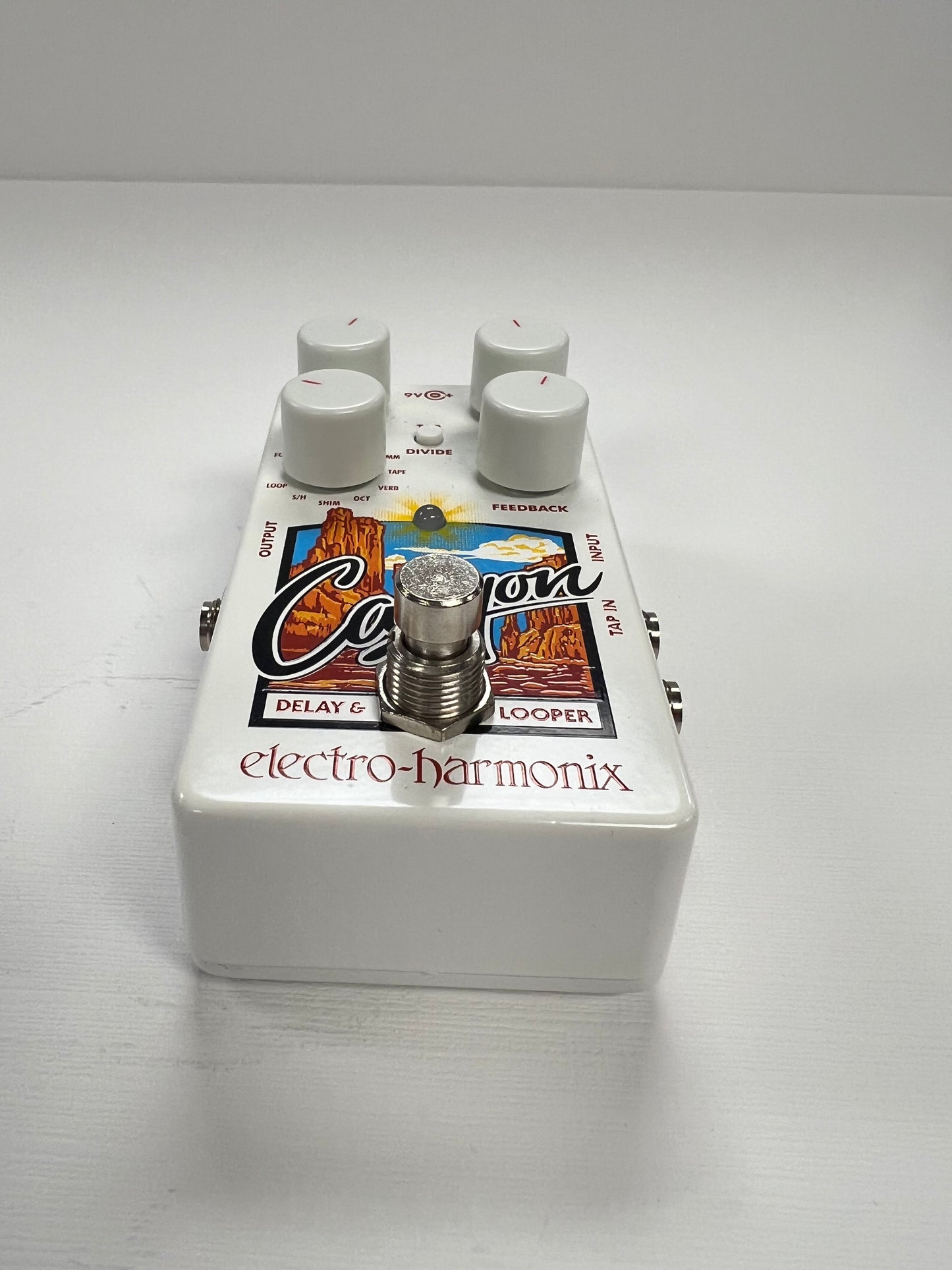 Electro Harmonix Canyon Delay and Looper