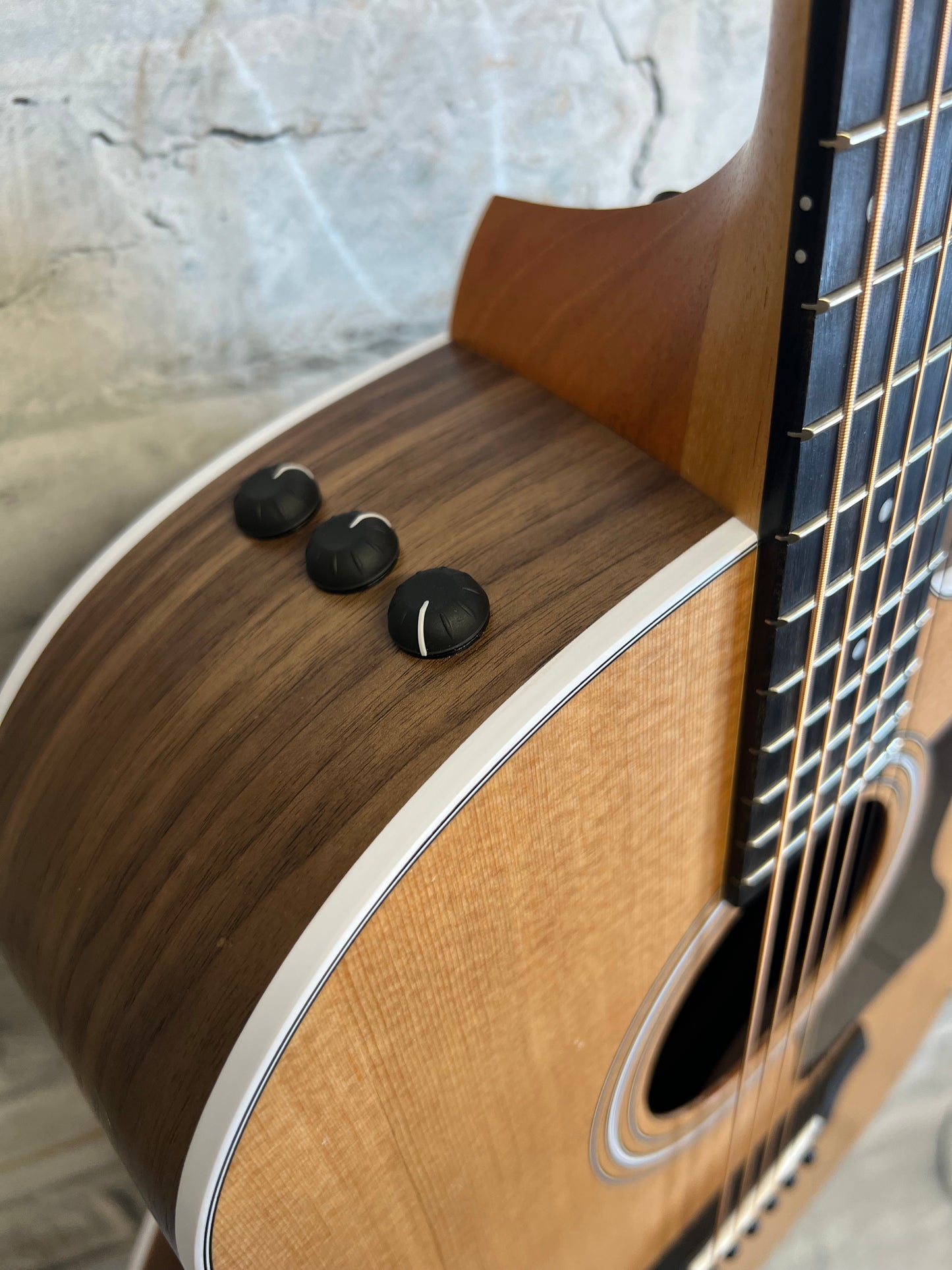 Taylor 214ce Grand Auditorium Acoustic-Electric Guitar