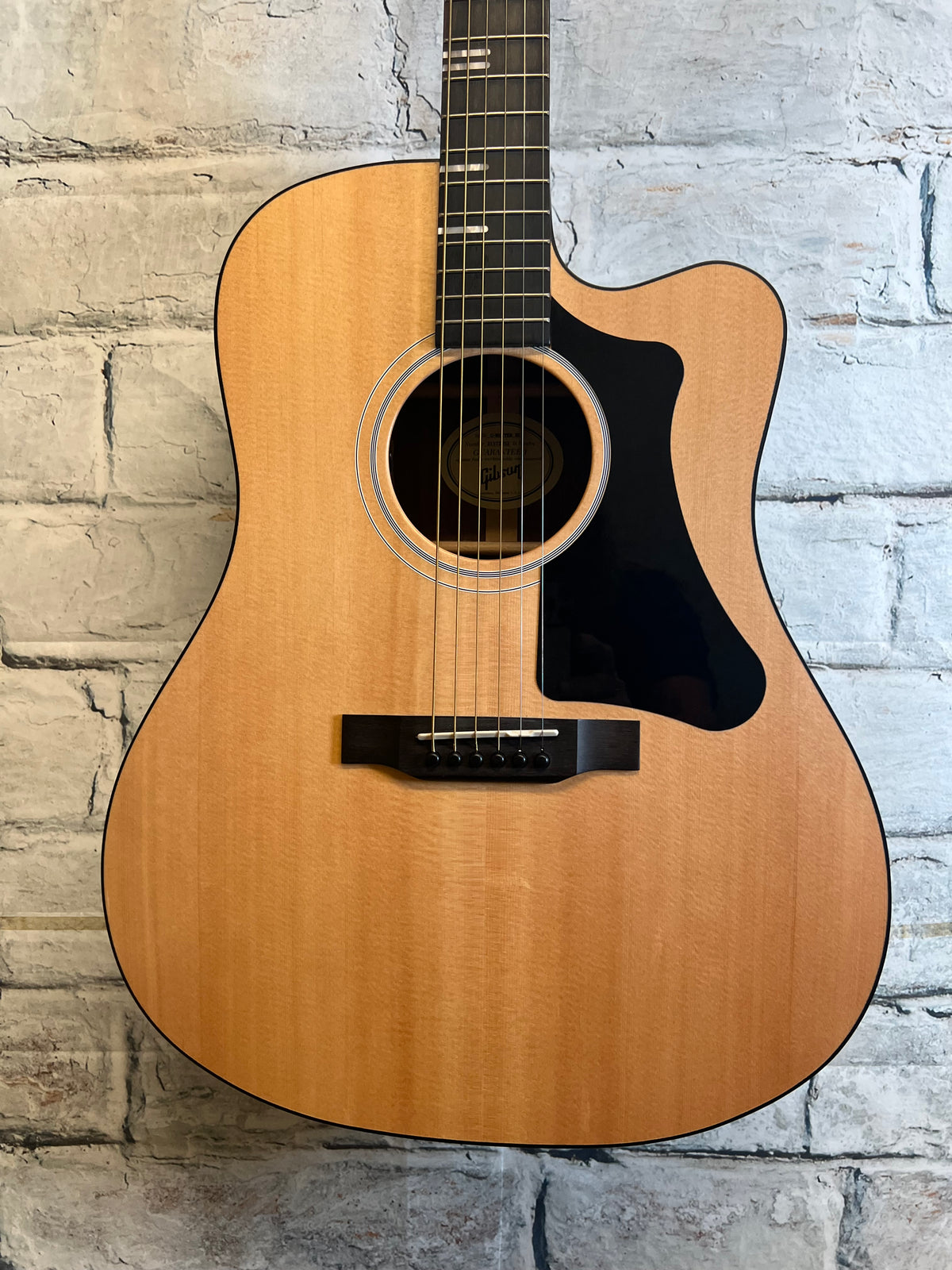 Used Gibson G-Writer with Bag