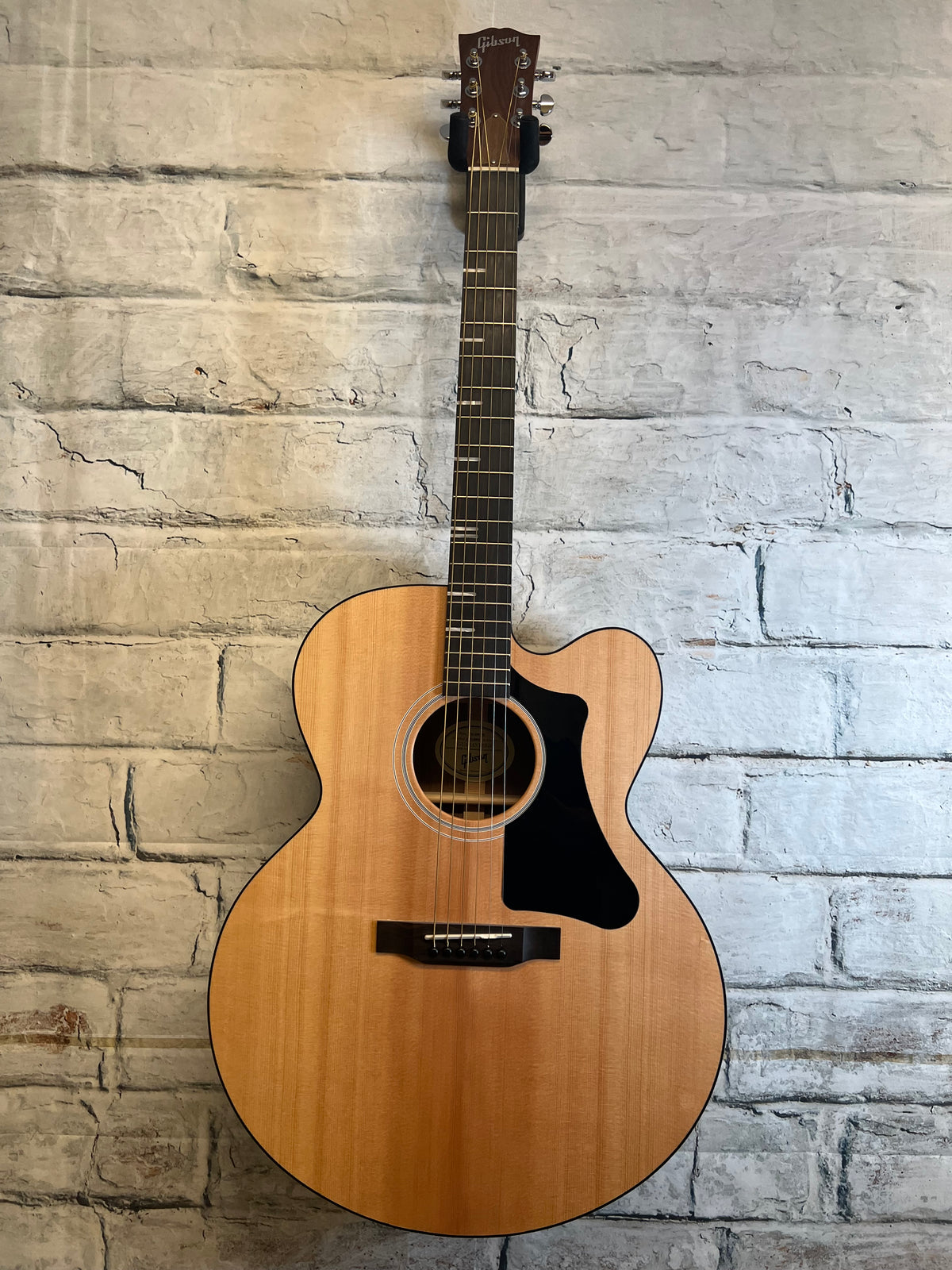 Used Gibson G-Writer with bag