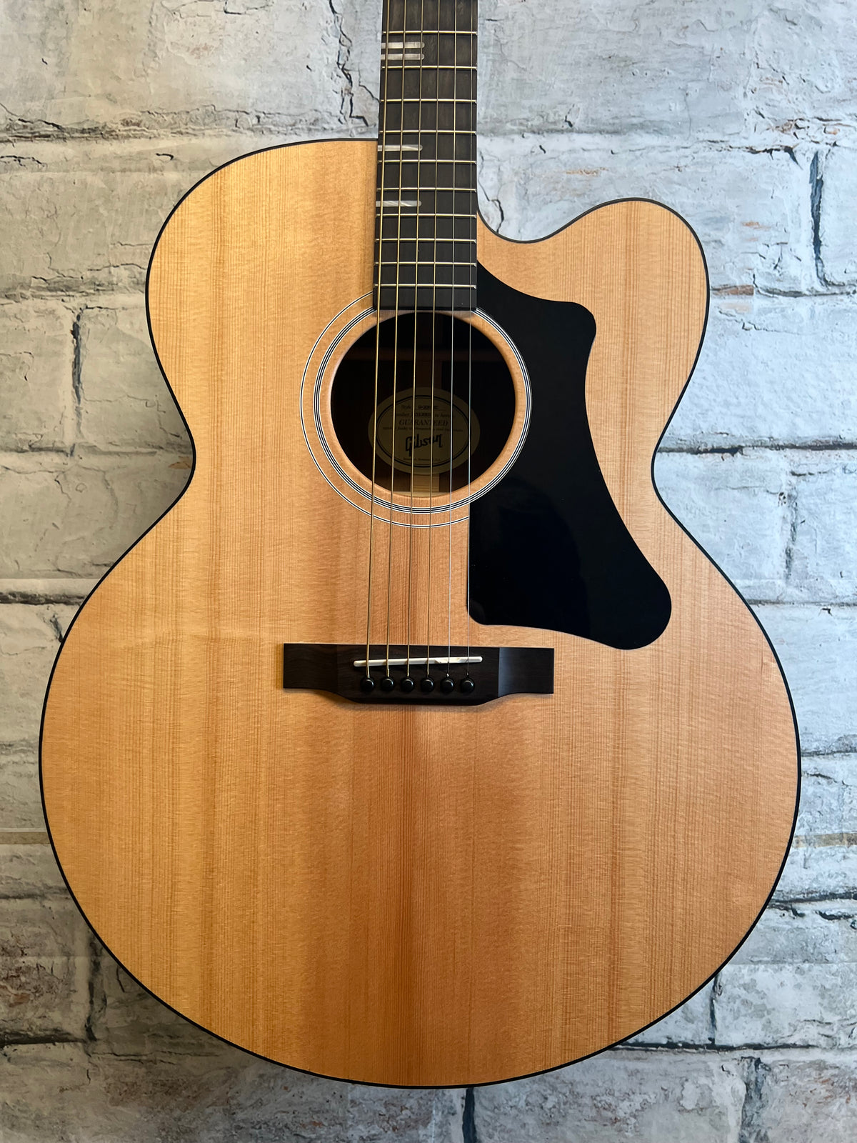 Used Gibson G-Writer with bag